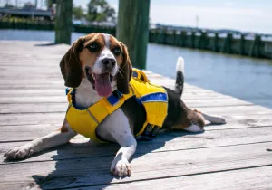 Monterey Bay Life Jacket